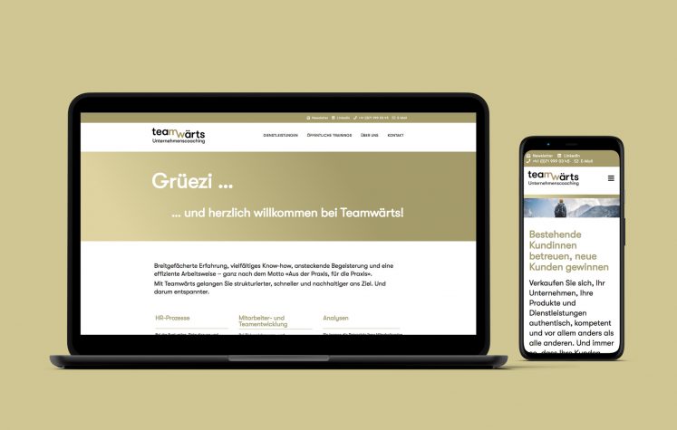 Website erstellen lassen St.Gallen Schweiz